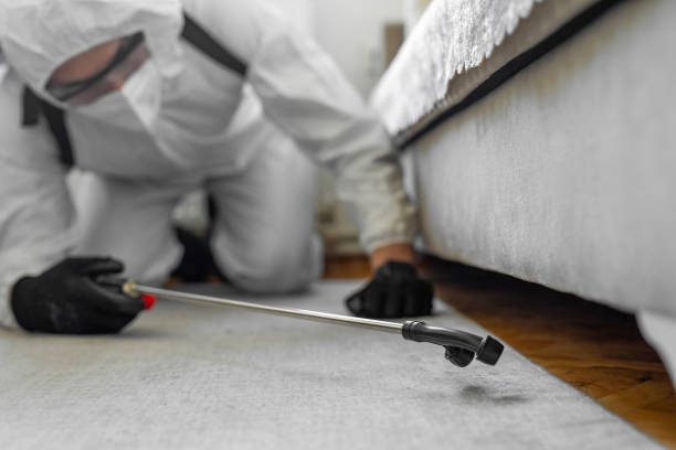 Professional Termite Control technician working in Atlanta, TX