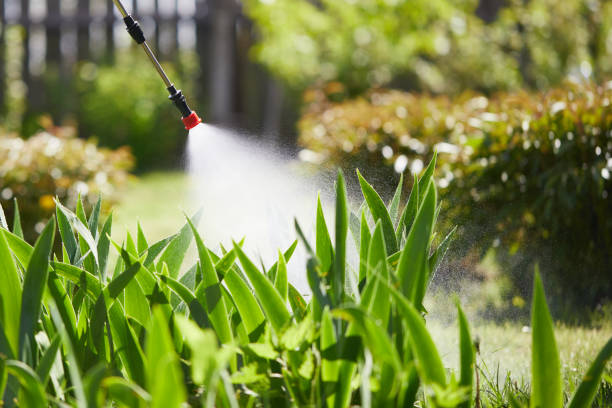 24/7 Emergency Termite Control experts in Atlanta, TX