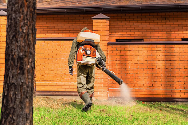 Top rated local Termite Control specialists in Atlanta, TX